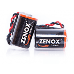 Batteries for tachograph 1381