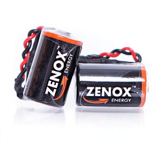 Batteries for tachograph 1381